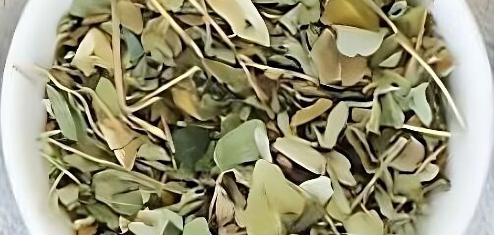 soursop tea leaves in a white bowl